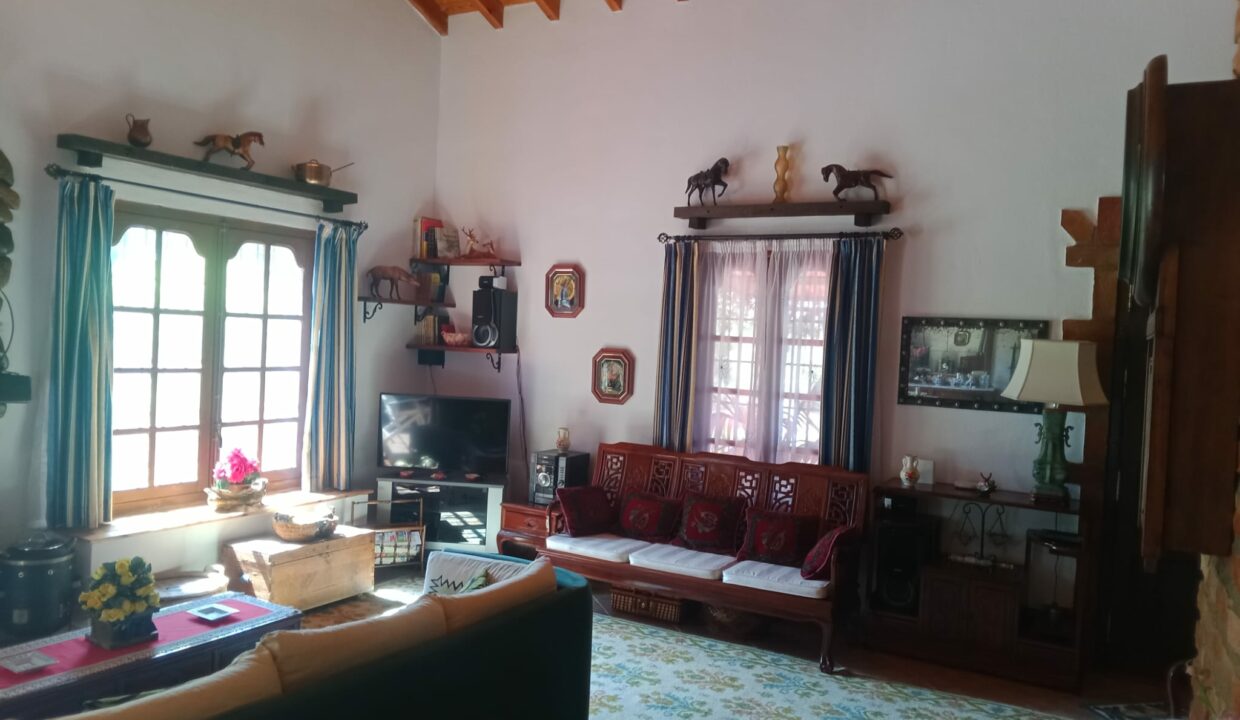 WhatsApp Image 2026-06-12 at 13.11.32-5